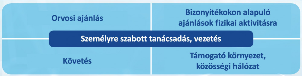 Mozgás Receptre Európai modell